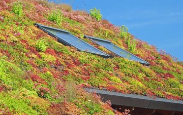 St Budeaux living roof systems